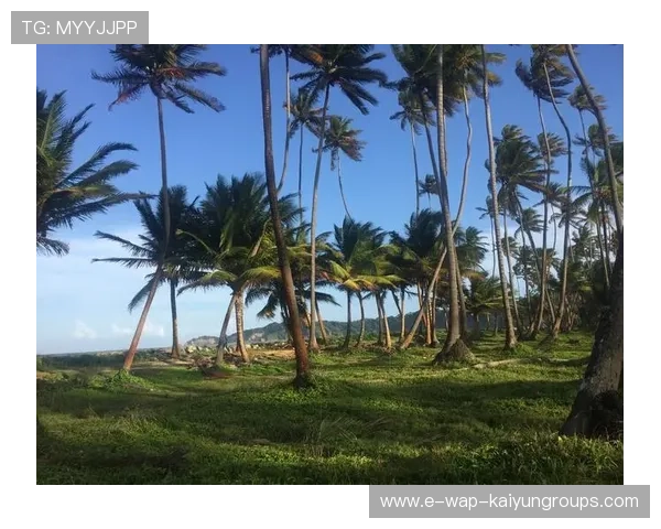 多巴哥国际运动节吸引大量游客，多巴哥属于哪个洲